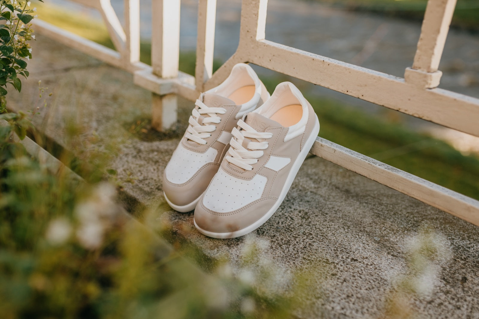 Shoe Image